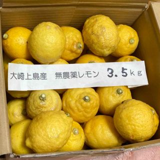 広島県大崎上島産無農薬レモン　3.5kg(フルーツ)