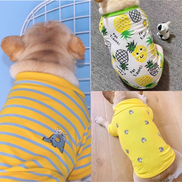 断捨離中様 専用ページの通販 by Pet land's shop|ラクマ