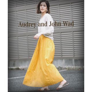 オードリーアンドジョンワッド(audrey and john wad)のAudrey and John Wad 完売品　オーガンジーロングフレアスカート(ロングスカート)