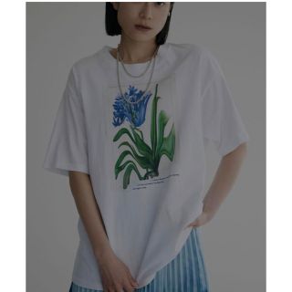 アメリヴィンテージ(Ameri VINTAGE)のAMERI DROOP FLOWER BIG TEE(Tシャツ(半袖/袖なし))