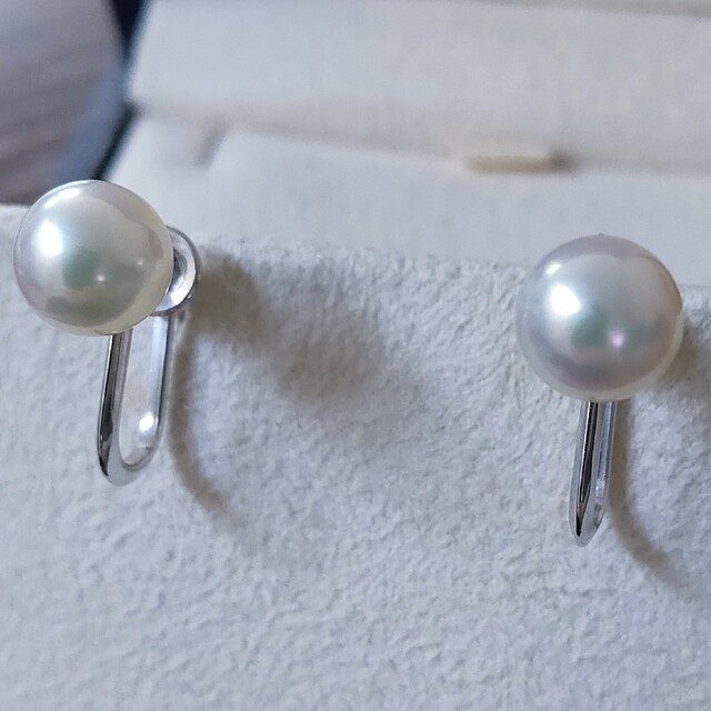 MIKIMOTO(ミキモト)のミキモト アコヤ真珠 パール イヤリング K14WG 7.3mm 7.5mm レディースのアクセサリー(イヤリング)の商品写真