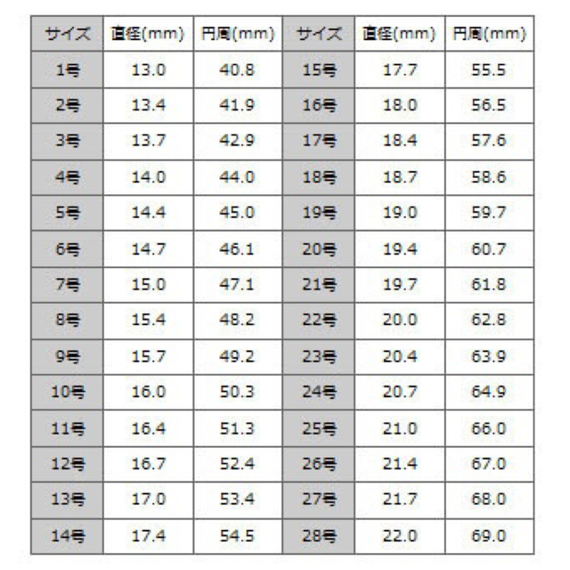 18K ゴールドコーティング ホースシューリング テンダーロイン 好きに 未使用