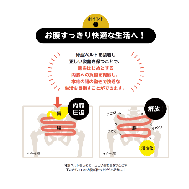 2枚 FIT KEEP Ⅱ フィットキープ 骨盤ベルトMサイズ 最も優遇の 5577円
