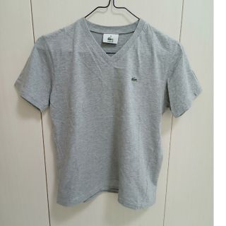 ラコステ(LACOSTE)のLACOSTE Tシャツ M(Tシャツ(半袖/袖なし))