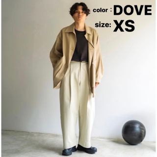 スタジオニコルソン(STUDIO NICHOLSON)のstudio nicholson VOLUME PLEAT PANTS(チノパン)