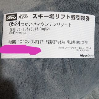 Hana様専用❗栂池高原スキー場の１日リフト券+ランチ1,000円分２枚