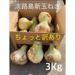 ☆ちょっと訳あり3Kg☆淡路島新玉ねぎ　たまねぎ　玉葱(野菜)