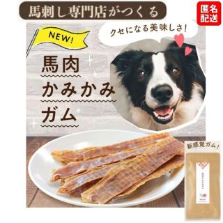 【健康いぬ生活】 馬肉かみかみガム レギュラーサイズ ×１袋(ペットフード)