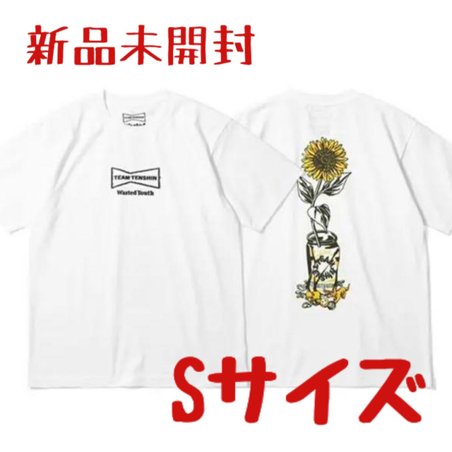 Team Tenshin チーム天心 wasted youth Tシャツ S プレゼントを選ぼう ...