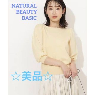 ナチュラルビューティーベーシック(NATURAL BEAUTY BASIC)のNATURAL BEAUTY BASIC シアーストライプドッキングニット(ニット/セーター)