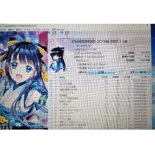 6TB HDD 大容量 ハードディスク  Seagate ST6000DM003(PCパーツ)