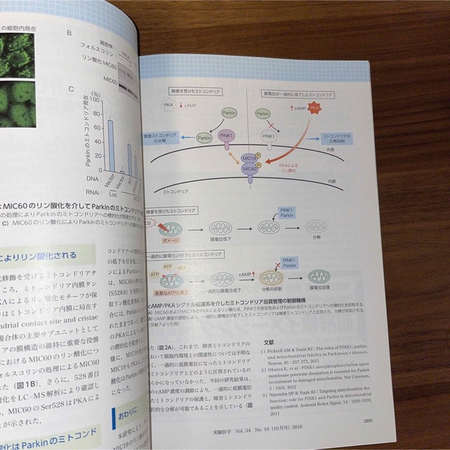 実験医学　１６年１０月号 バイオサイエンスと医学の最先端総合誌 ３４－１６ エンタメ/ホビーの本(健康/医学)の商品写真