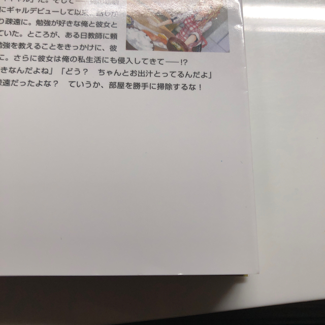 初版・帯付き】エプロンの似合うギャルなんてズルい　1巻 エンタメ/ホビーの本(文学/小説)の商品写真