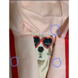 Anthropologie - アンソロポロジー ディッシュタオル キッチンタオル