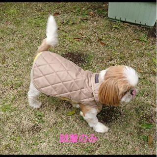 ダウンジャケット♡小型犬用(犬)