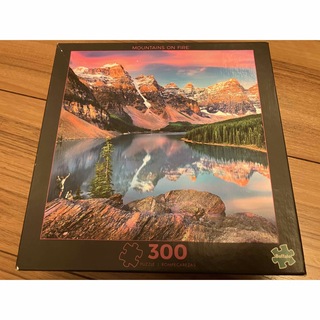 バッファロー(Buffalo)のパズル Buffalo Games 火山 300ピース(その他)