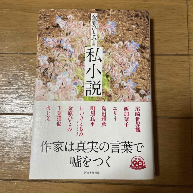 私小説 エンタメ/ホビーの本(文学/小説)の商品写真