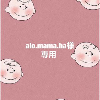 ★alo.mama.ha様専用★(外出用品)