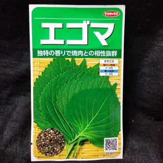 野菜タネ　エゴマ種　種子100粒　正規品(その他)
