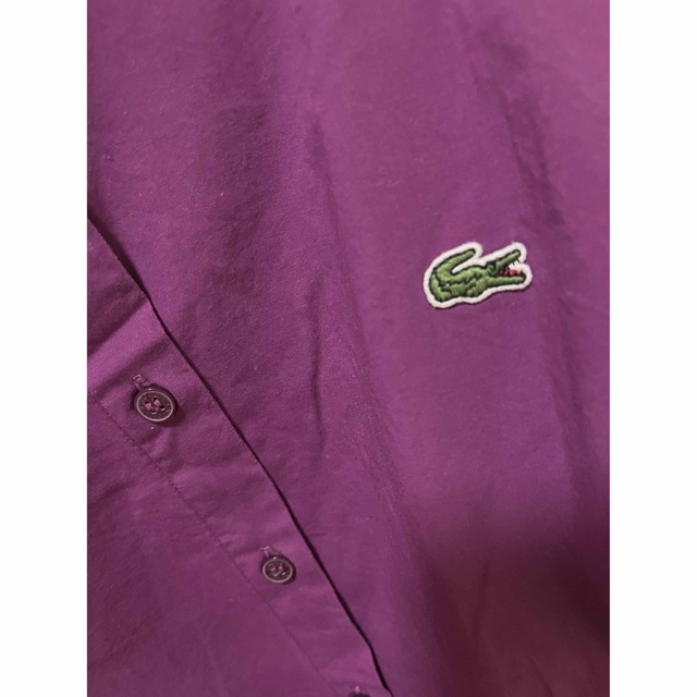 LACOSTE(ラコステ)のLACOSTE シャツ　ブラウス　パープル　紫　レディース レディースのトップス(シャツ/ブラウス(長袖/七分))の商品写真