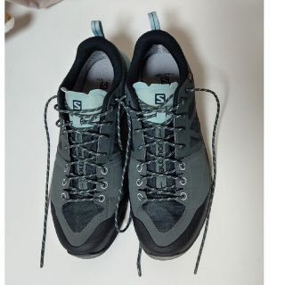 サロモン(SALOMON)のSALOMON  X ALP SPRY Gore-TEX W  サイズ 24.5(登山用品)