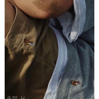 POLO RALPH LAUREN - polo beams big collection チノショーツ 34/30の