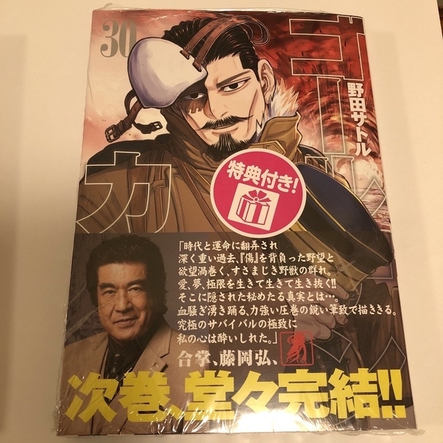 集英社(シュウエイシャ)のゴールデンカムイ 漫画　ゴールデンカムイ３０　ゴールデンカムイ３１　未読 エンタメ/ホビーの漫画(その他)の商品写真