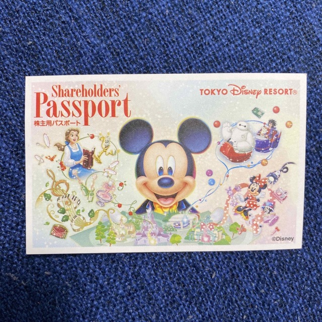 Disney(ディズニー)のディズニーリゾート チケット 使用済み チケットの施設利用券(遊園地/テーマパーク)の商品写真