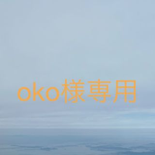 oko様専用(その他)