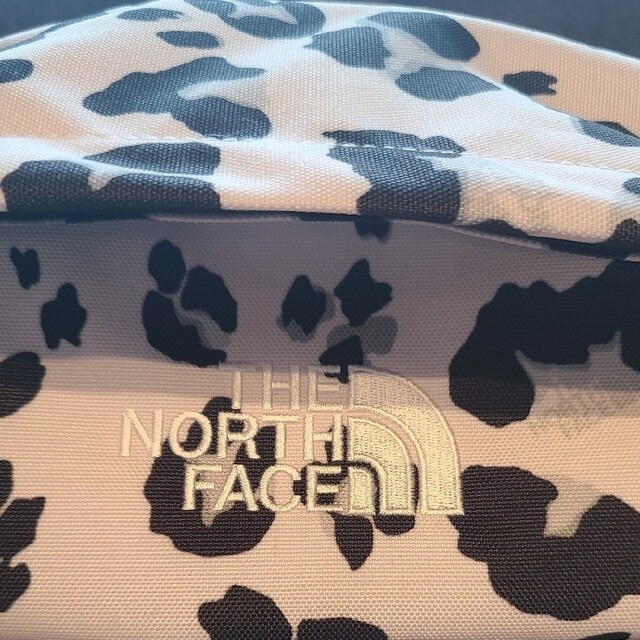 THE NORTH FACE(ザノースフェイス)のNorth Face レオパードリュック レディースのバッグ(リュック/バックパック)の商品写真