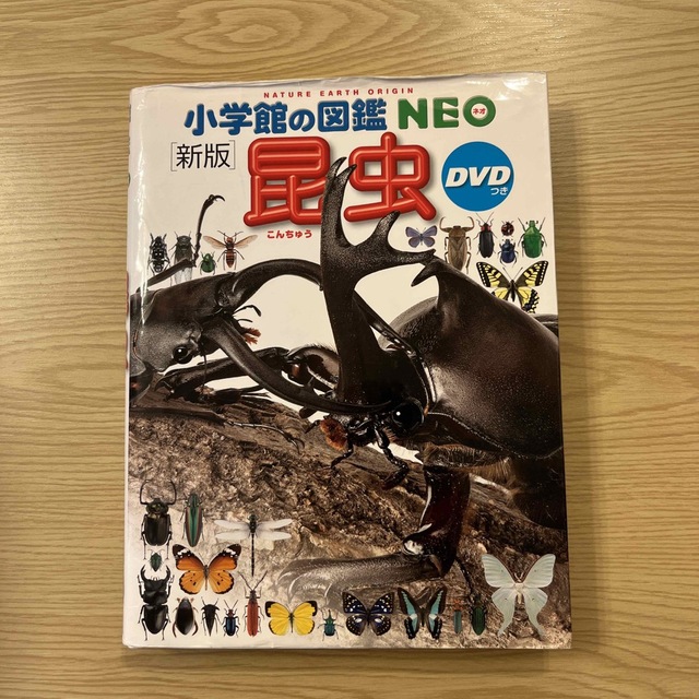 小学館(ショウガクカン)のよしよし様専用！！　小学館の図鑑NEO［新版］昆虫 DVD付き エンタメ/ホビーの本(絵本/児童書)の商品写真