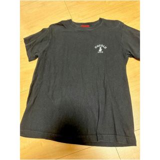 COCOLOBRAND ココロ 定番 Tシャツ Sサイズ 