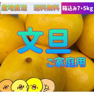 ［野囲い追熟済］文旦　7.5kg ご家庭用(フルーツ)