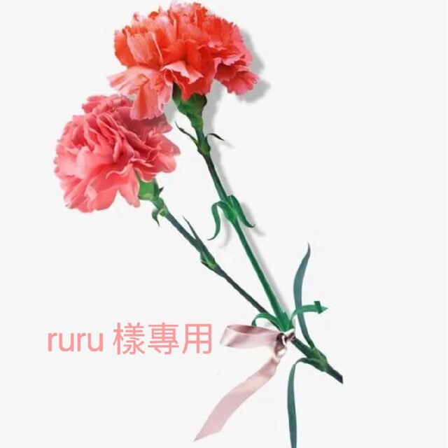 ruru 様 iPhone13pro C11 スマホ/家電/カメラのスマホ/家電/カメラ その他(その他)の商品写真