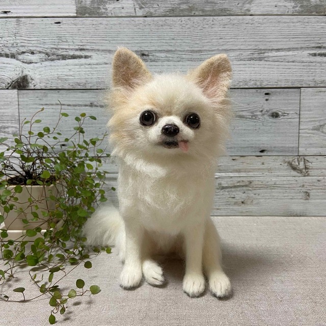 羊毛フェルト 犬 チワワ 一番人気物 www.panda92.fr