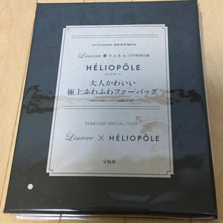 エリオポール(heliopole)のリンネル ２月号付録 ファーバック 未開封品(ショルダーバッグ)