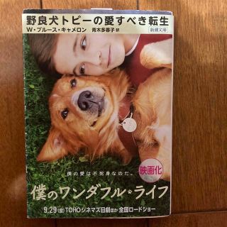 野良犬トビ－の愛すべき転生(その他)