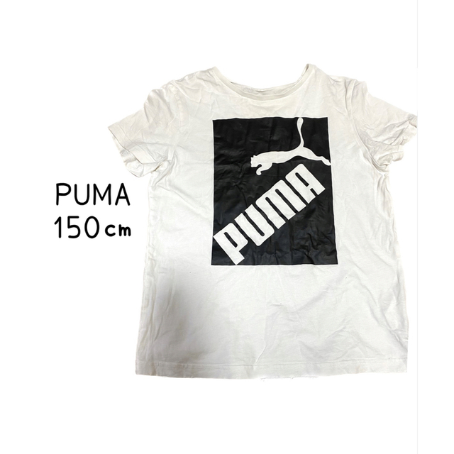 PUMA(プーマ)のPUMA Tシャツ キッズ/ベビー/マタニティのキッズ服男の子用(90cm~)(Tシャツ/カットソー)の商品写真