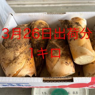 3月26日出荷分　たけのこ　1キロ　ぬか唐辛子付き(野菜)