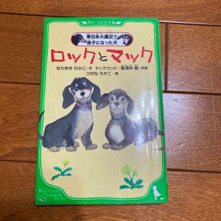 ロックとマック 東日本大震災で迷子になった犬(絵本/児童書)