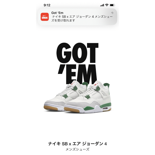 Nike SB × Air Jordan 4 Pine Green 26.5cm