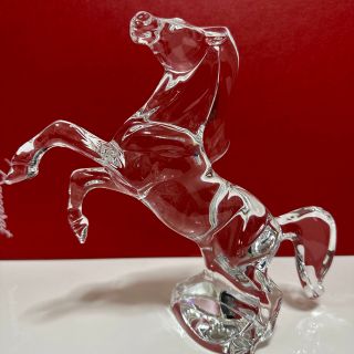 バカラ いななく馬 新品 | www.jarussi.com.br
