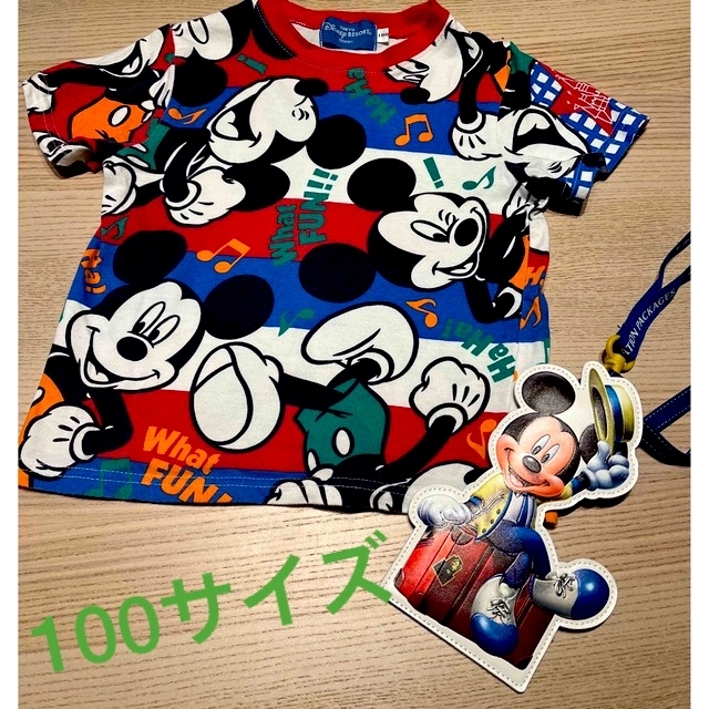 Disney(ディズニー)のディズニー100サイズ総柄Tシャツ&バケパチケットホルダー♪ キッズ/ベビー/マタニティのキッズ服女の子用(90cm~)(Tシャツ/カットソー)の商品写真