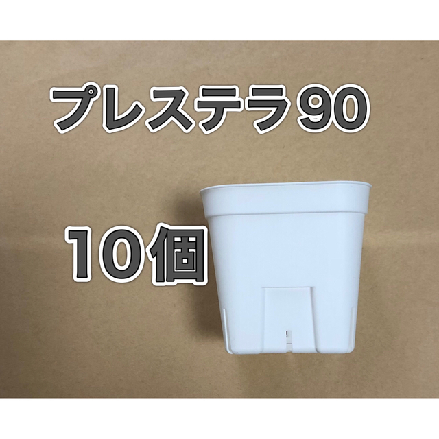 《2Y・プレステラ90》白 各10個 プラ鉢 スリット鉢 多肉植物 ハンドメイドのフラワー/ガーデン(プランター)の商品写真