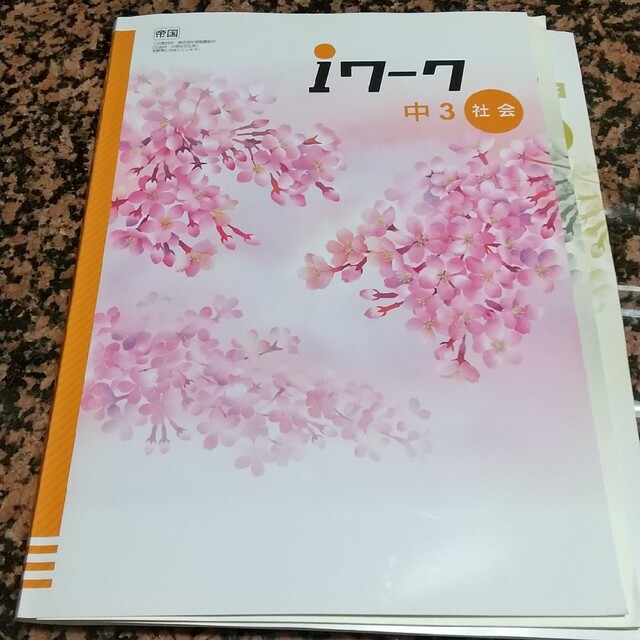 iワーク 中3 社会 ❇️ iワークプラス❇️解答・解説 エンタメ/ホビーの本(語学/参考書)の商品写真