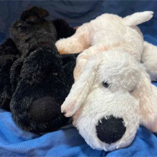 人気定番 BIG 子犬のルーク 小犬のルーク 仔犬のルーク 小犬 2匹 仔犬