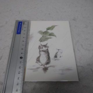 新品　ポストカード　にわか雨　レイニー　傘　水たまり　わちふぃーるど　ダヤン　猫(その他)