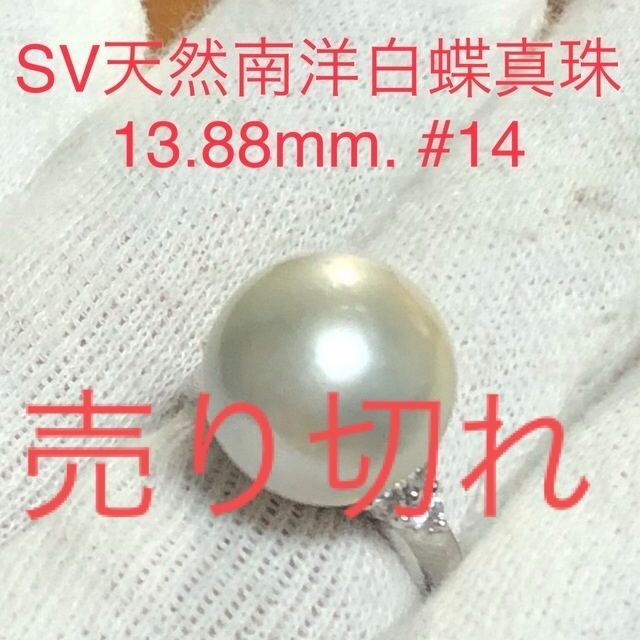 SV天然南洋白蝶真珠リング　13.88mm. #14