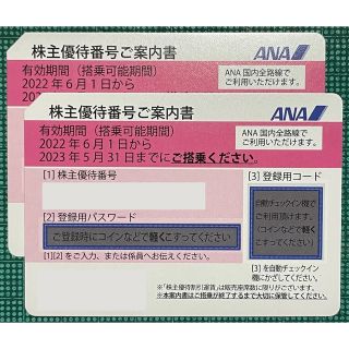 エーエヌエー(ゼンニッポンクウユ)(ANA(全日本空輸))のANA 株主優待券 2枚(2023年5月31日まで有効) (その他)