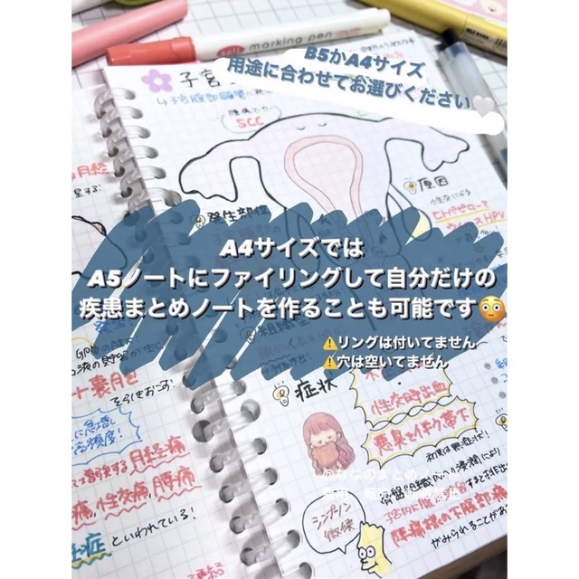 解剖生理+重要項目+頻出疾患まとめノート 3セット 解剖生理+重要項目+頻出疾患まとめノート 3セット